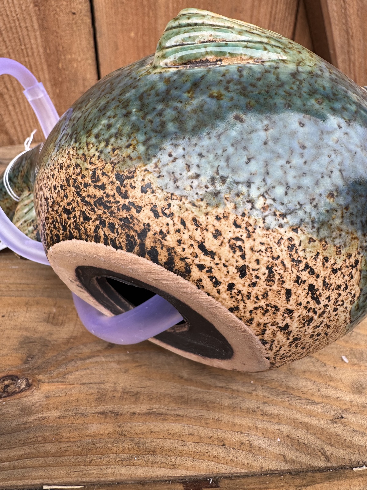 Wasserspeier Fisch Frido inkl. Pumpe - Höhe 13 cm