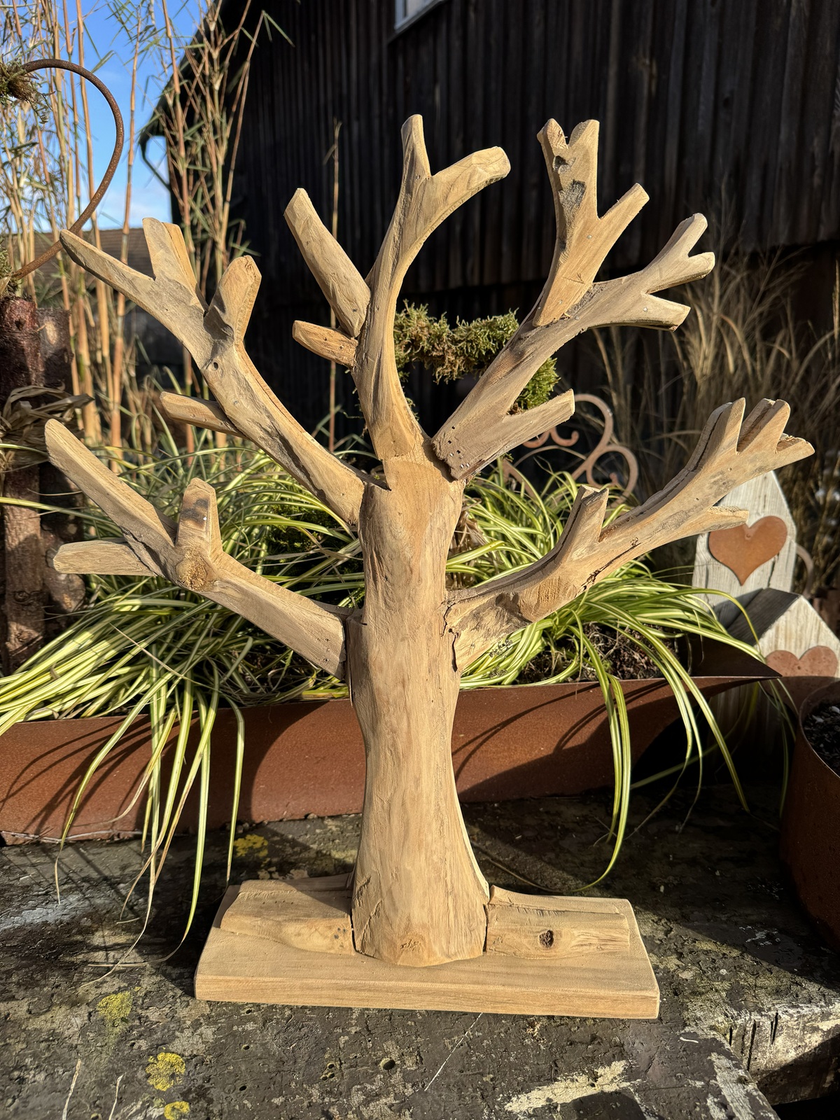 Teak Holz Baum auf Standsockel klein - Höhe ca. 50 - 55 cm
