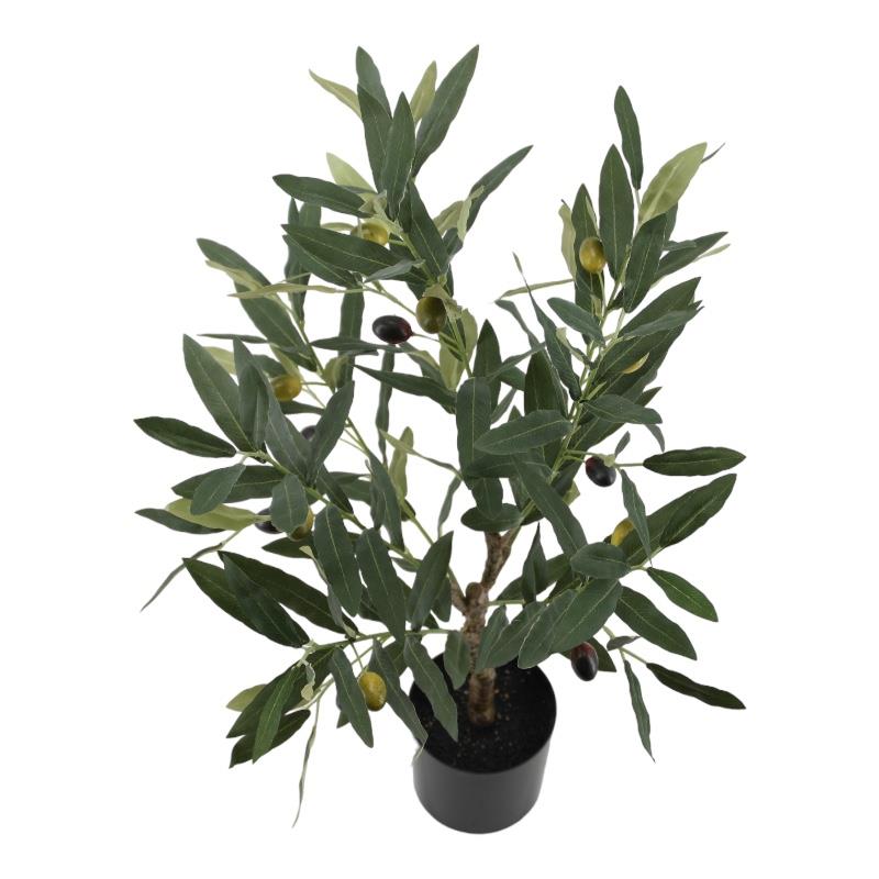 Seidenblume Olivenbaum im Topf - Höhe ca. 64 cm