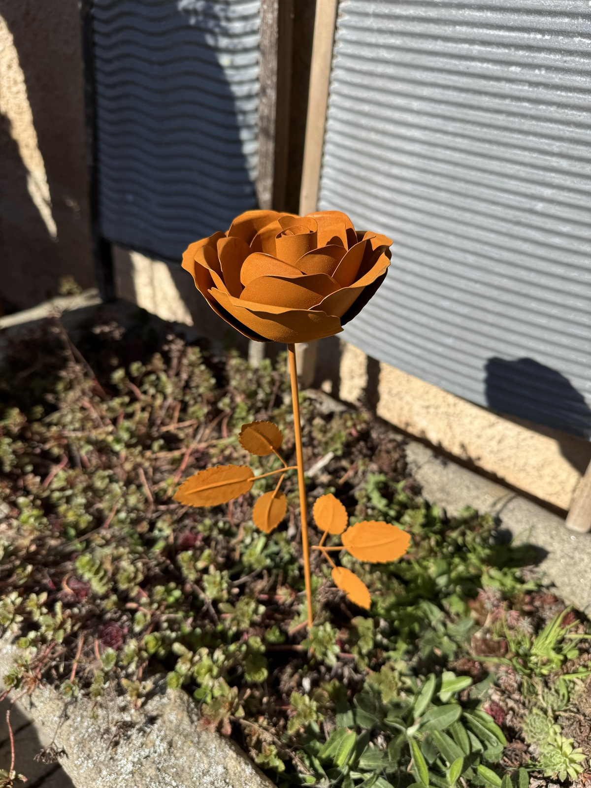 Rostoptik Rose auf Stab ( großer Blütenkopf ) - Höhe 46 cm