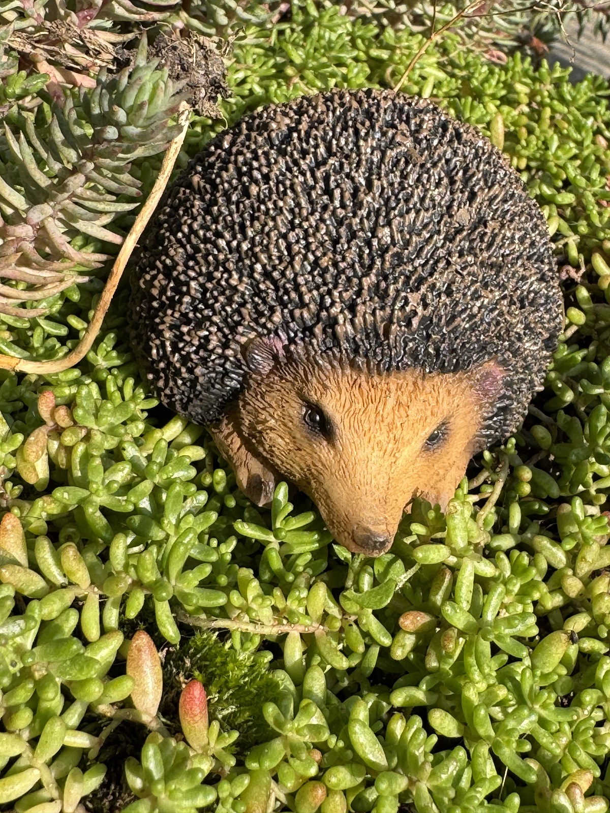 Polyresin Igel - Länge 8,5 cm