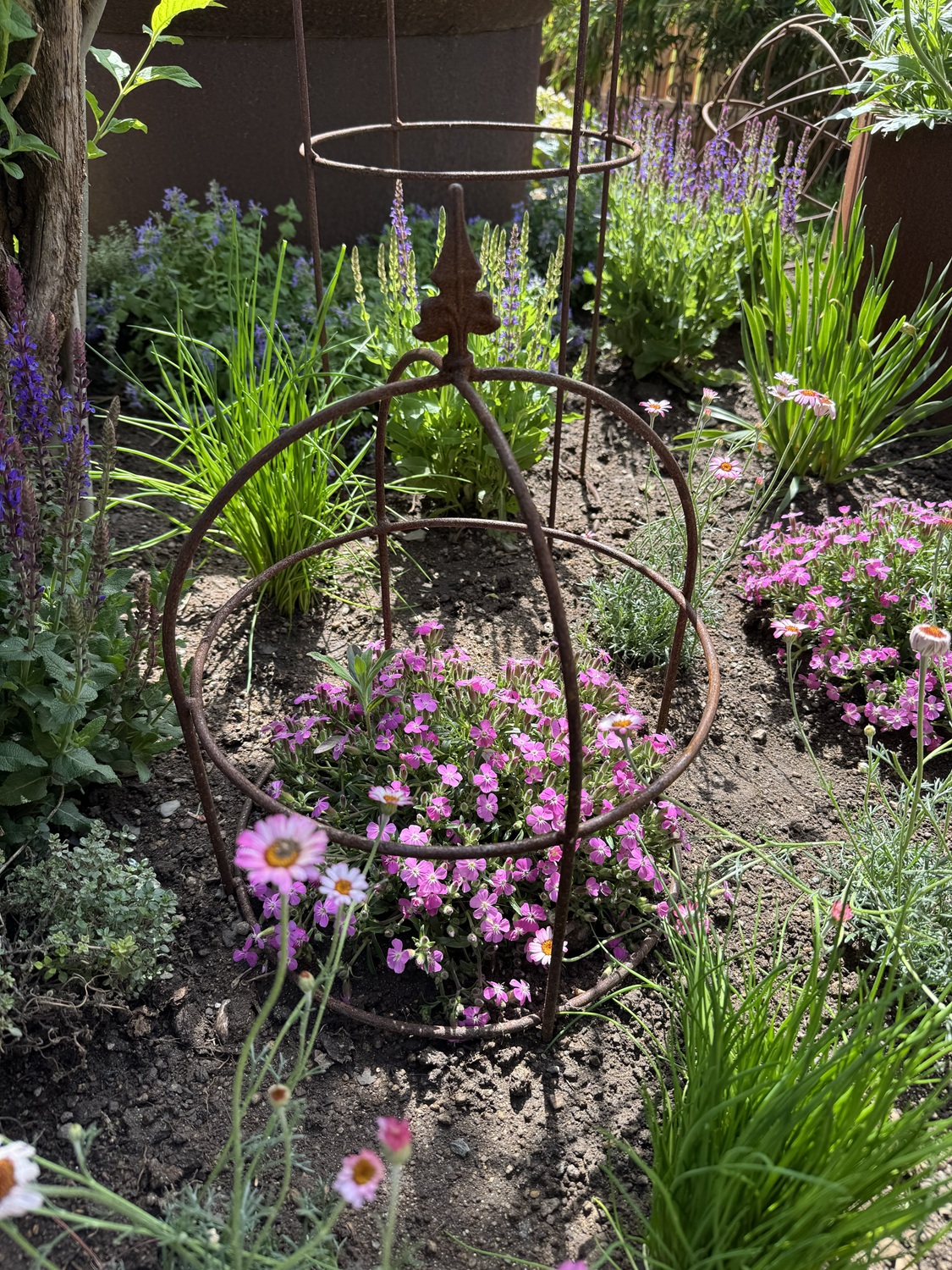 Rankhilfe Rund Edelrost Rankhilfe rund mit Lilienspitze Ø 35 cm | Höhe 60 cm ...