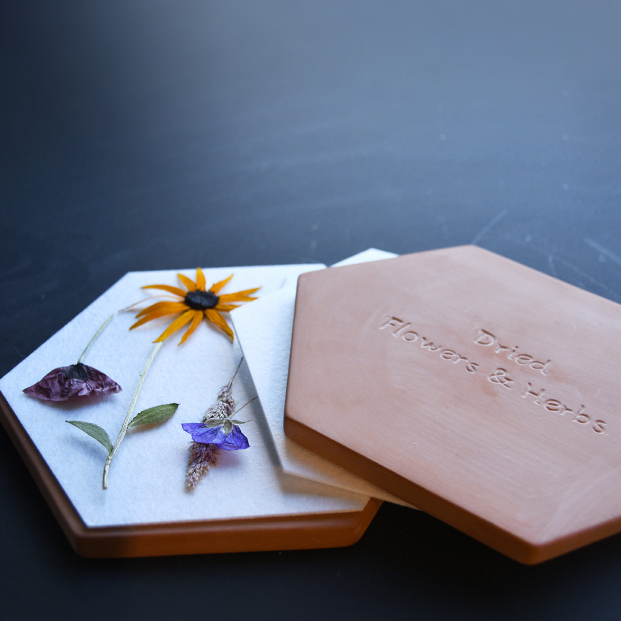 Blumen/Kräuterpresse für die Mikrowelle - Breite 19,4 cm