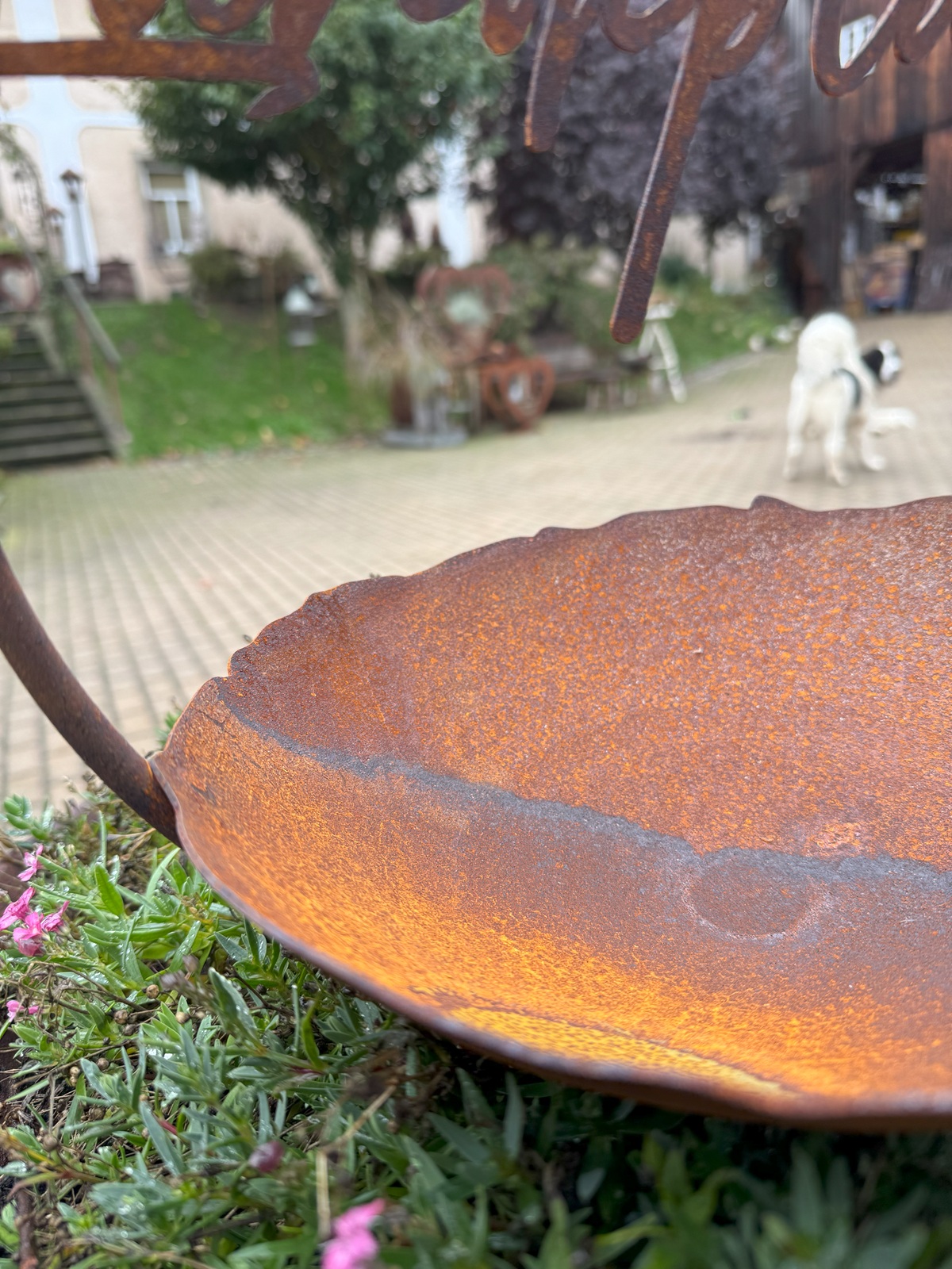 Edelrost Landeplatz im Ring mit rissiger Schale auf Hülse - Durchmesser 30 cm