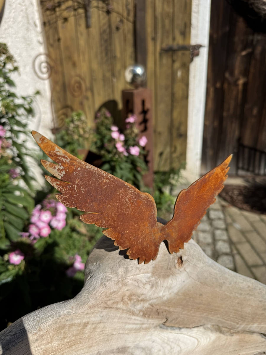Edelrost Flügel Lorena groß asymetrisch mit Schraube – Breite 30 cm