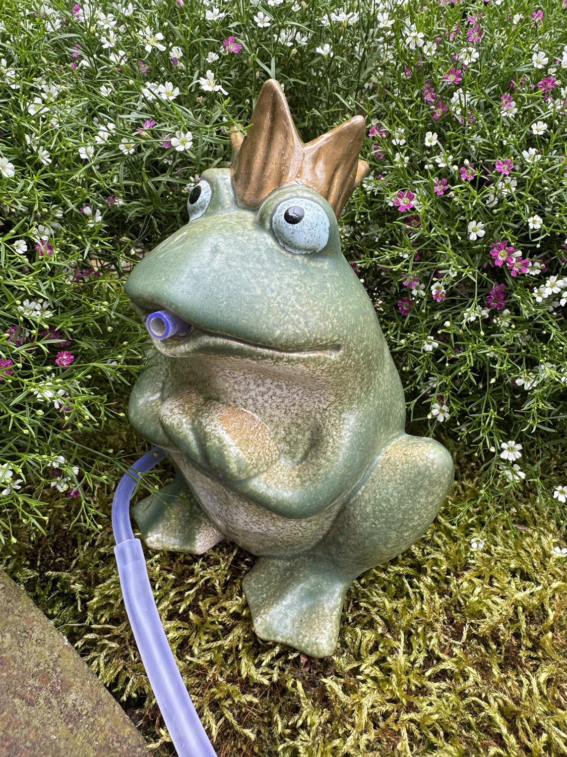 Steingut Wasserspeier Froschkönig Manfred grün mit goldener Krone - Höhe 18 cm