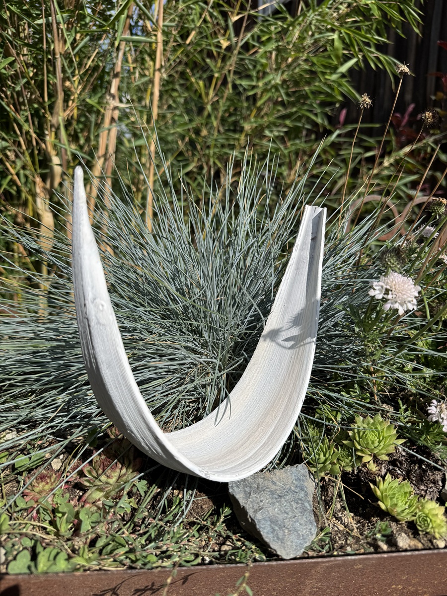 Cocos Schale Weiß - Länge ca. 18-20 cm