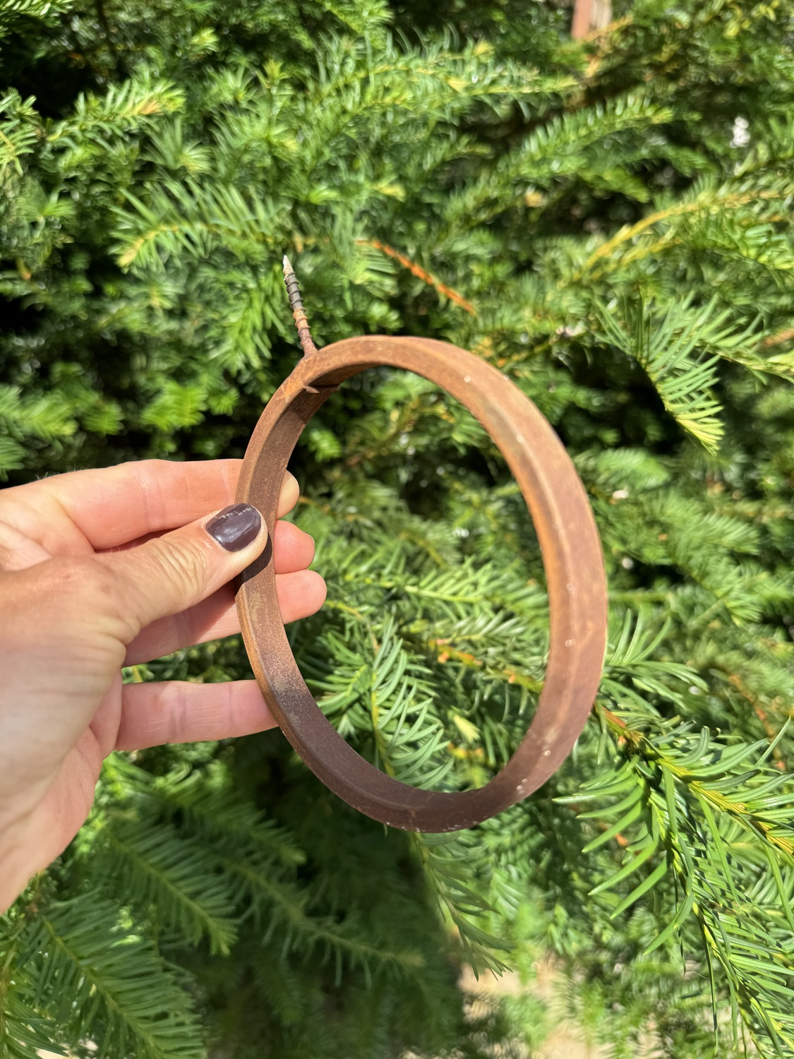 Edelrost Topfhalter Ring breit mit Schraube - Durchmesser 11 cm