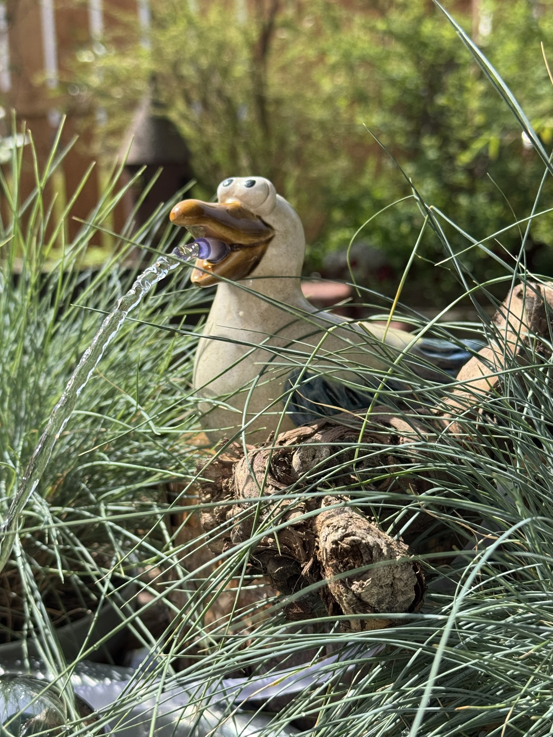 Steingut Wasserspeier Möwe Gunni mit Pumpe - Höhe 12 cm