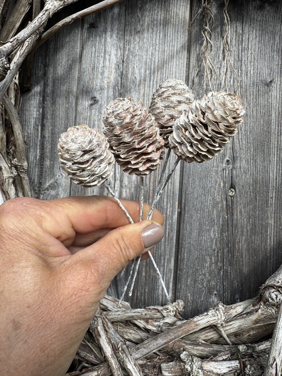 4 Sabulosum Zapfen an Draht Weiß gekalkt - Höhe 4-5 cm