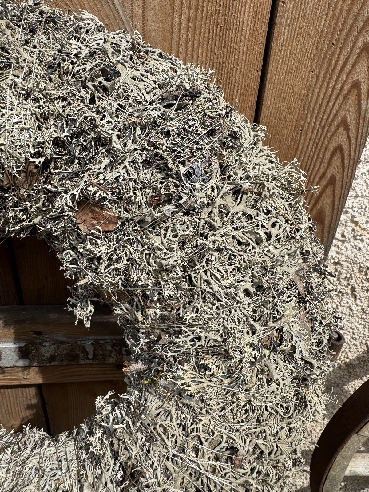 Natur Kranz Moos groß grau/naturfarben - Durchmesser 50 cm