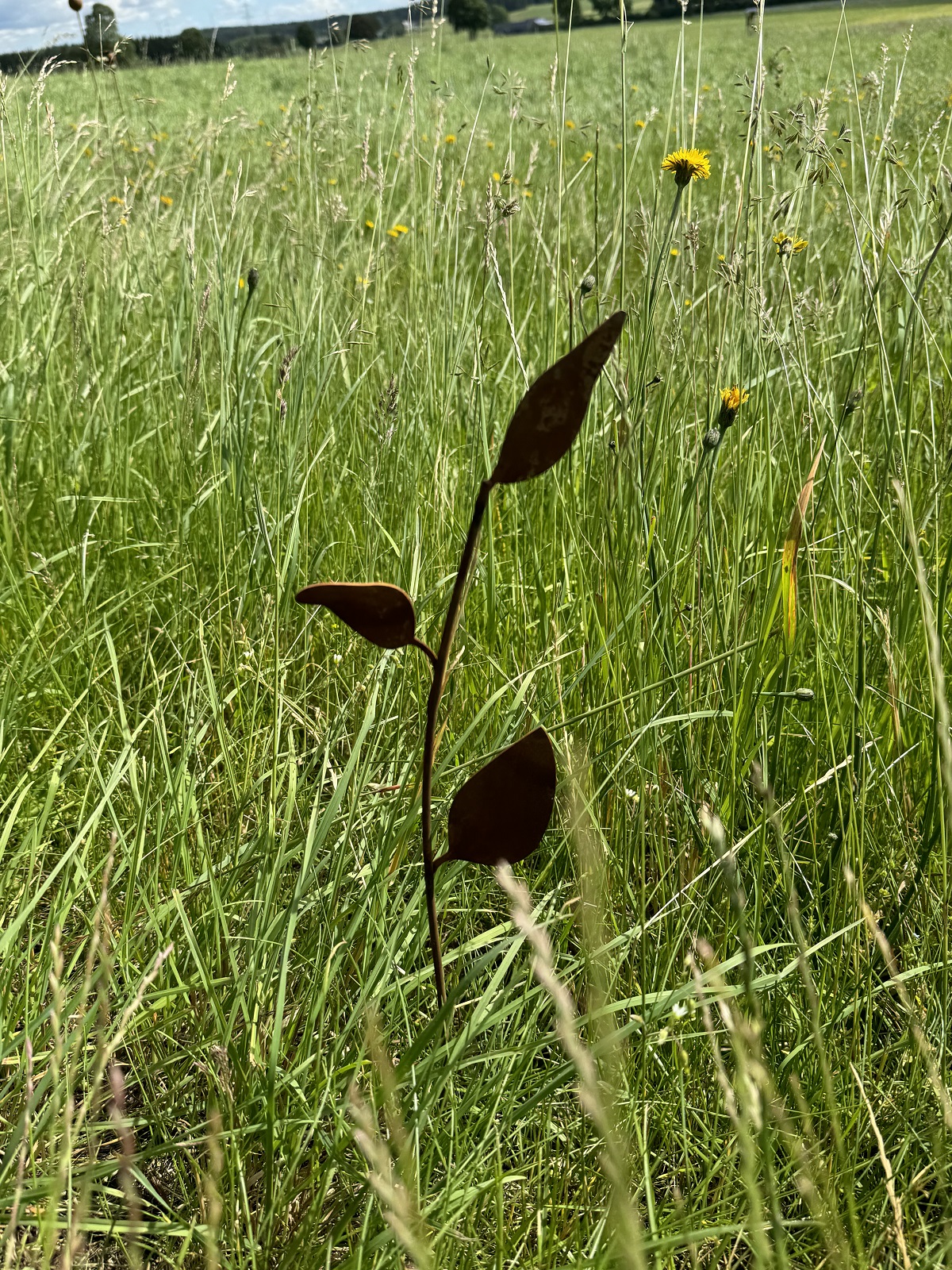 Edelrost Ast mit 3 Blättern auf Stab - Höhe 50 cm