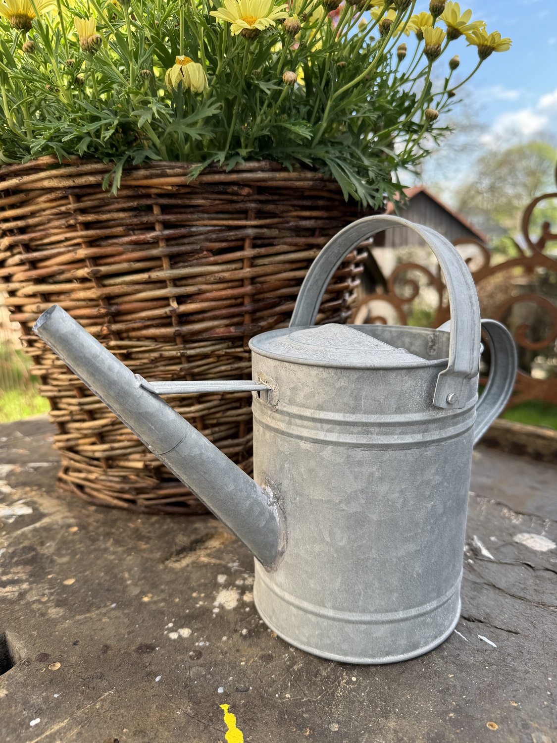 Zink Gießkanne klein 1,5 Liter - Höhe 17 cm