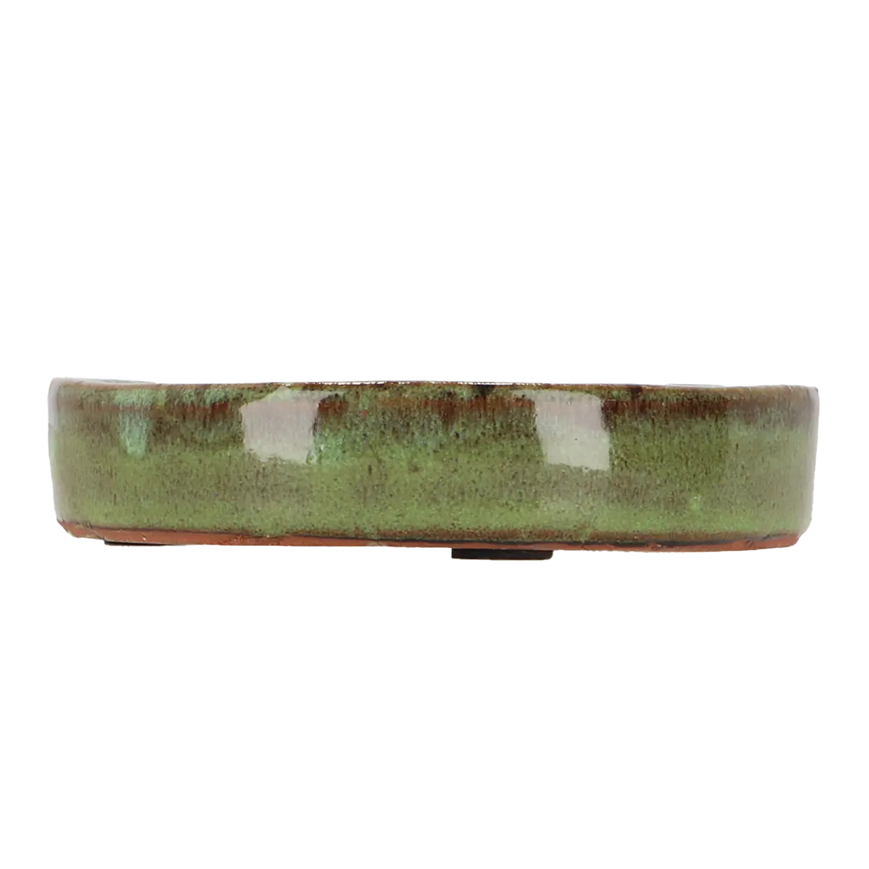 Terrakotta Untersetzer / Insektentränke glasiert grün groß - Durchmesser 25 cm
