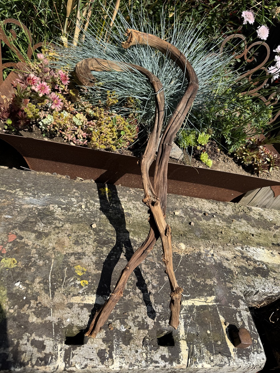 2 Holz Bananenstäbe naturgeformt - Länge ca. 50 - 70 cm