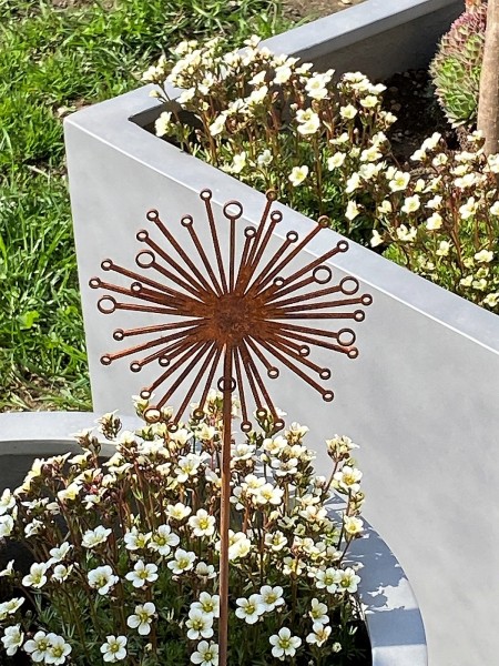 Edelrost Pusteblume klein auf Stab - Höhe 46 cm