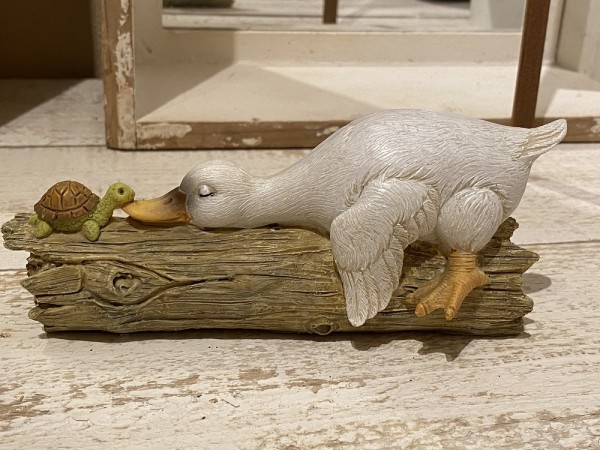 Magnesia Ente schlafend mit Schildkröte auf Ast